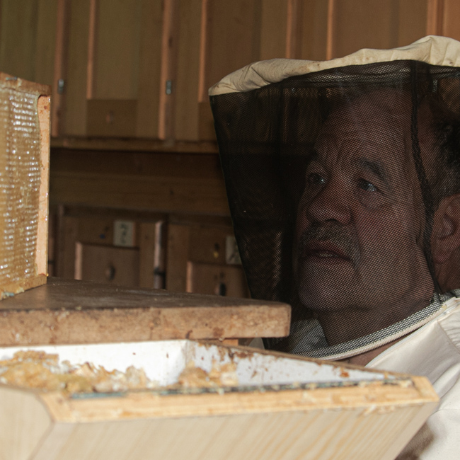 Honig aus dem Wallis