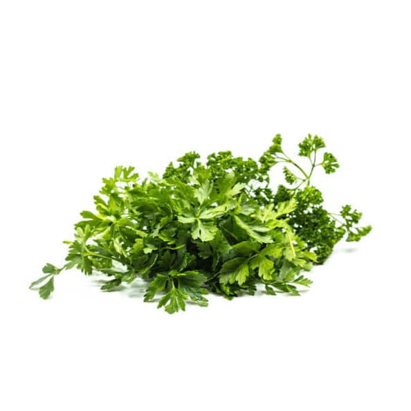 Petersilie (Bio)